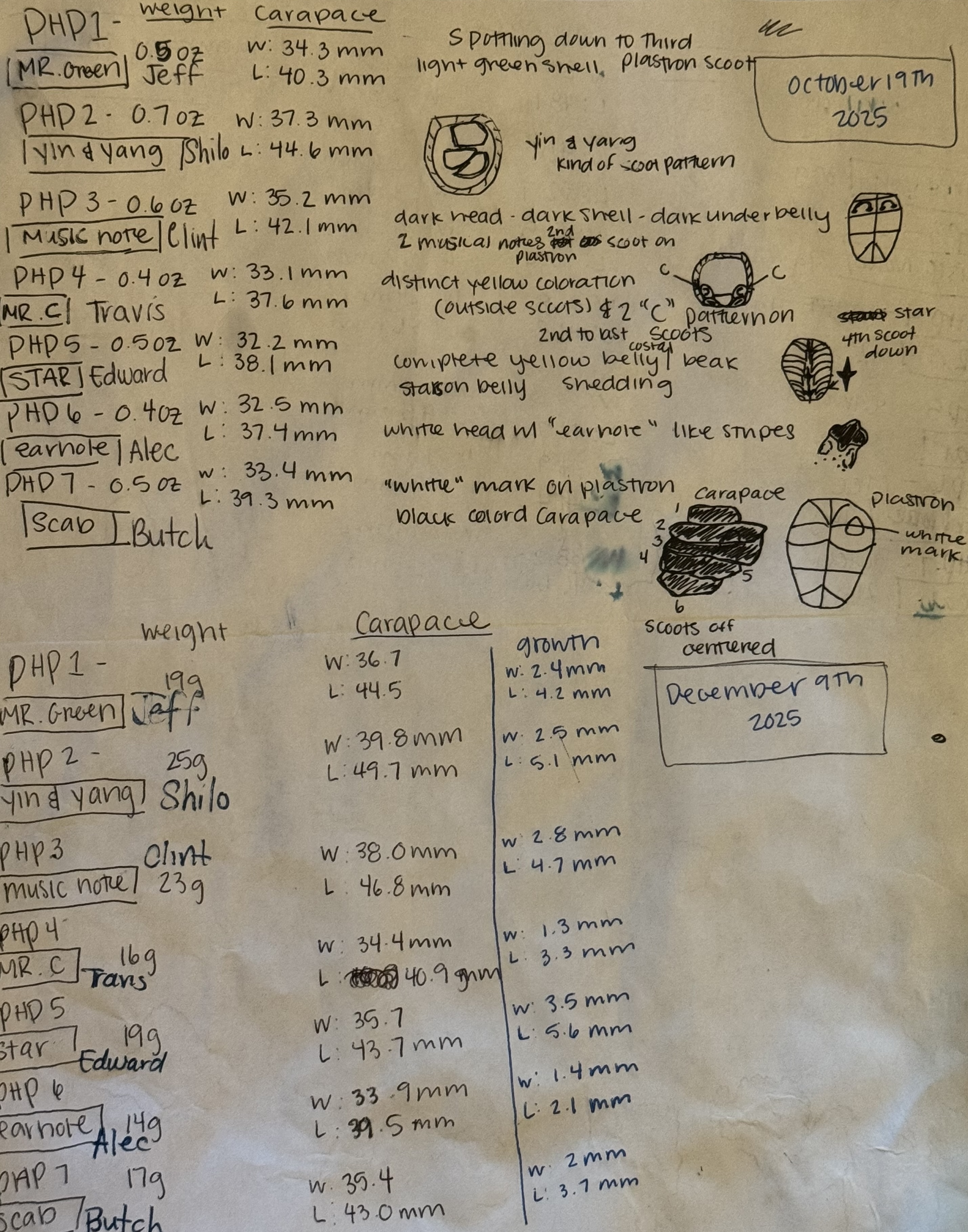 One of four handwritten data sessions — the starting point for our AI-assisted analysis.